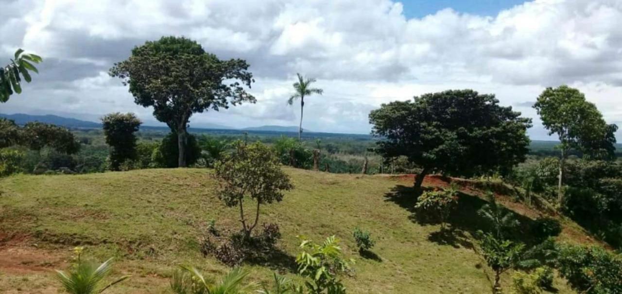 Valles Of Osa Palmar Sur Exterior foto