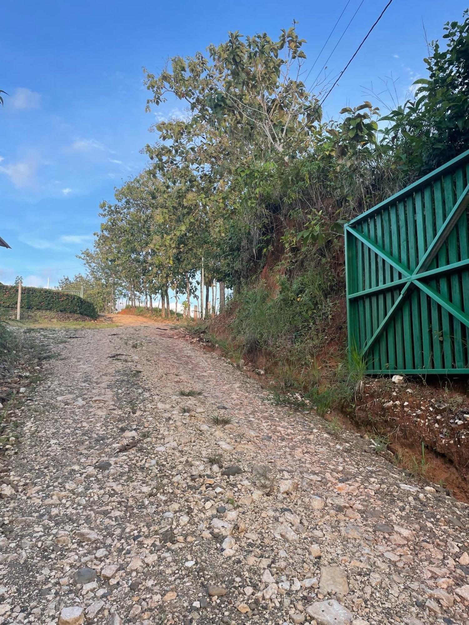 Valles Of Osa Palmar Sur Exterior foto