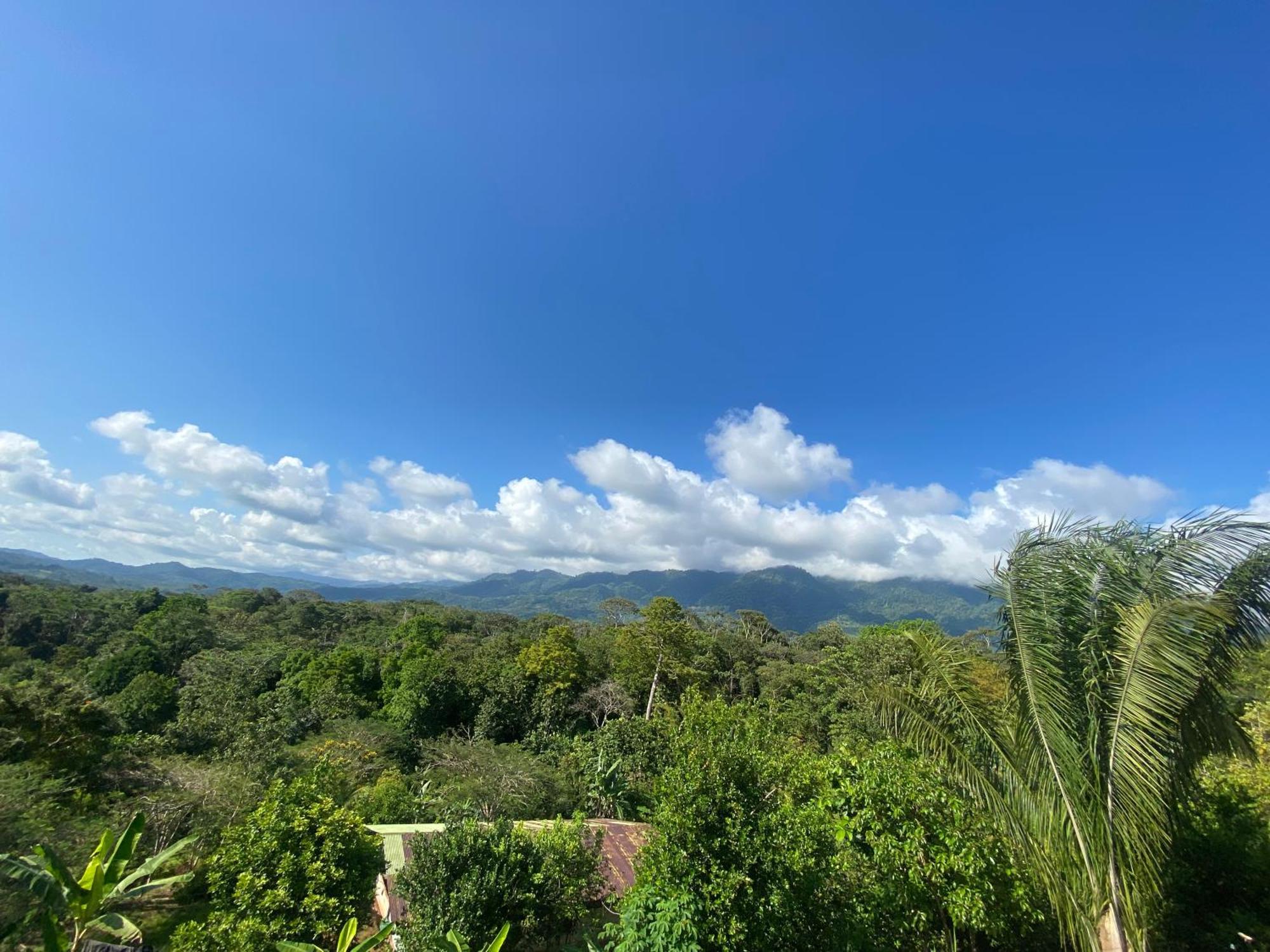 Valles Of Osa Palmar Sur Exterior foto